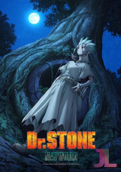 https://anime-jl.com/anime/834/dr-stone-new-world-espanol-latino-v2