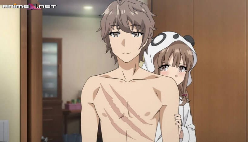 Seishun Buta Yarou wa Bunny Girl Senpai no Yume wo Minai en latino